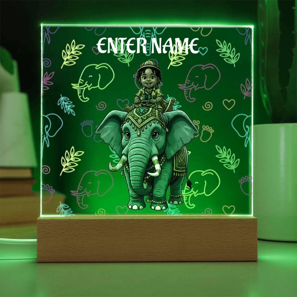 Test Riding Elephant Acrylic Night Light